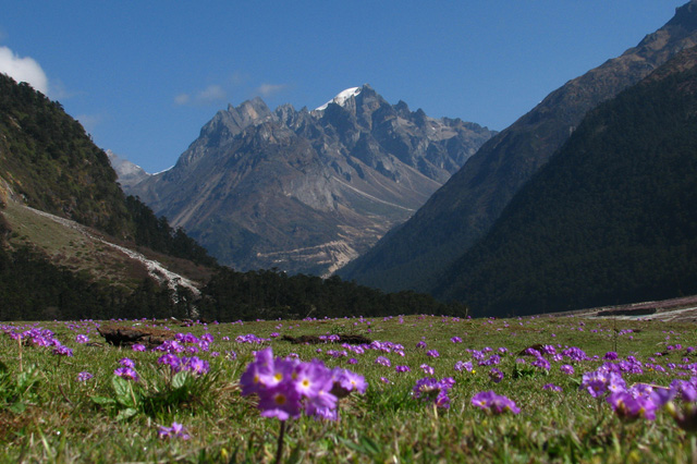 Gangtok To Yumthang Shared Taxi Fare North Sikkim Car packages at best fare | lachung,lachen taxicab