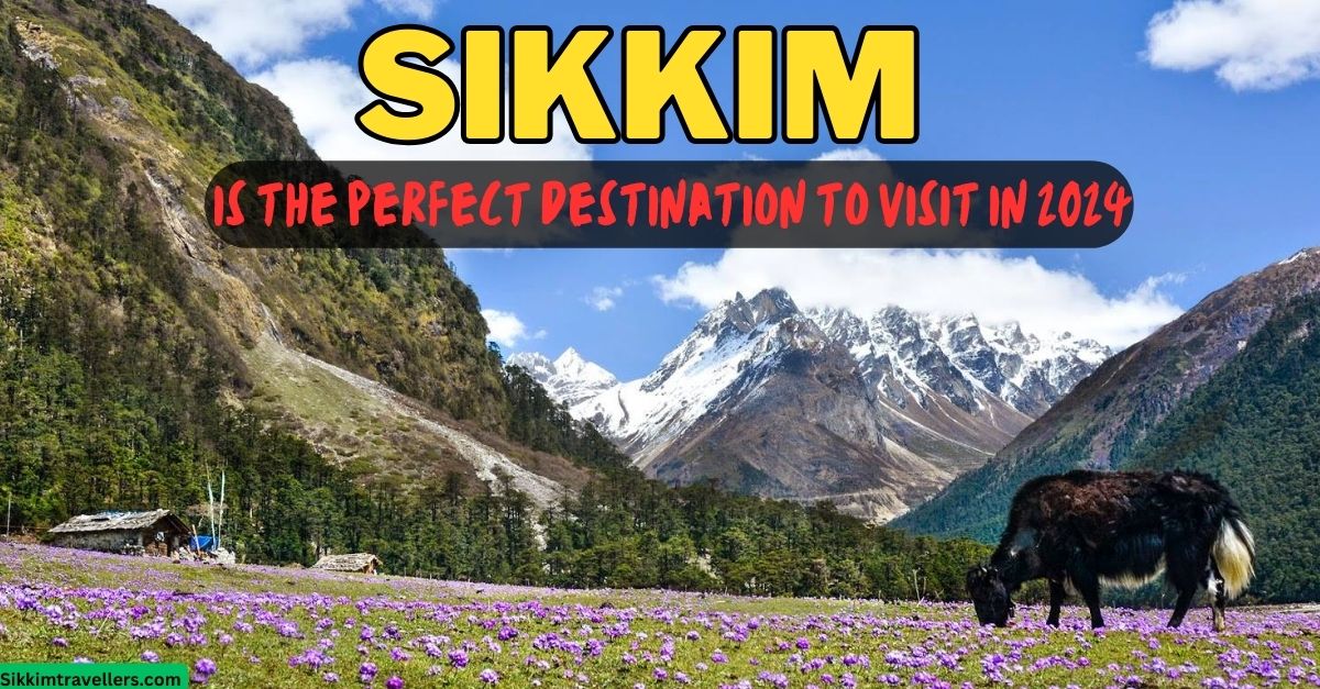 Sikkim Taxi